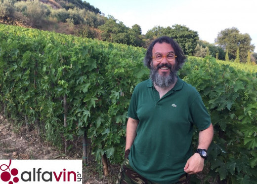 Oasi degli Angeli, producteur de vins des Marches